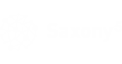 Saxony5 Logo